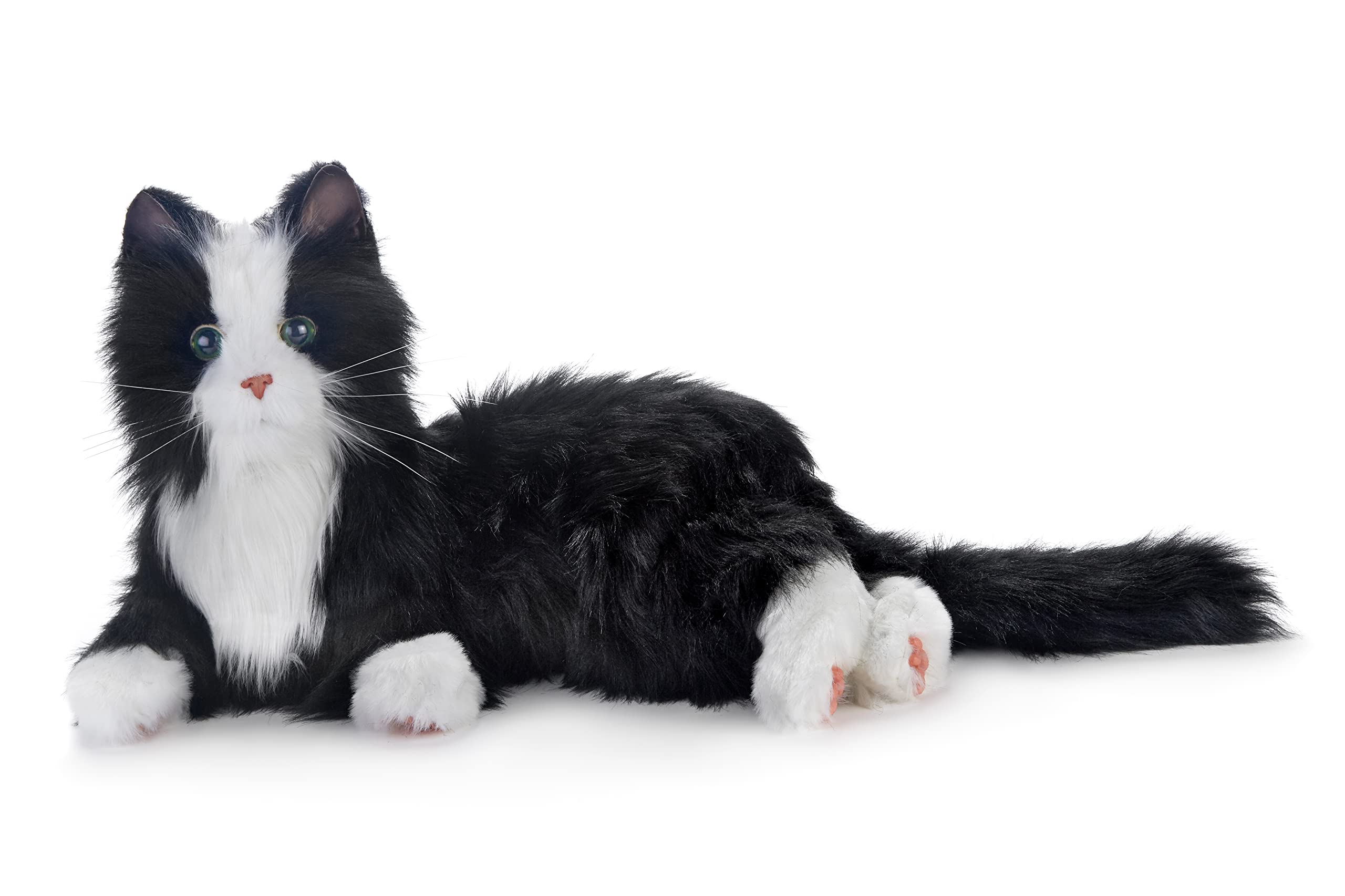 Interactive Black & White Companion Cat