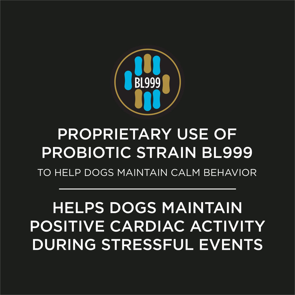 Calming Probiotic Powder for Dogs