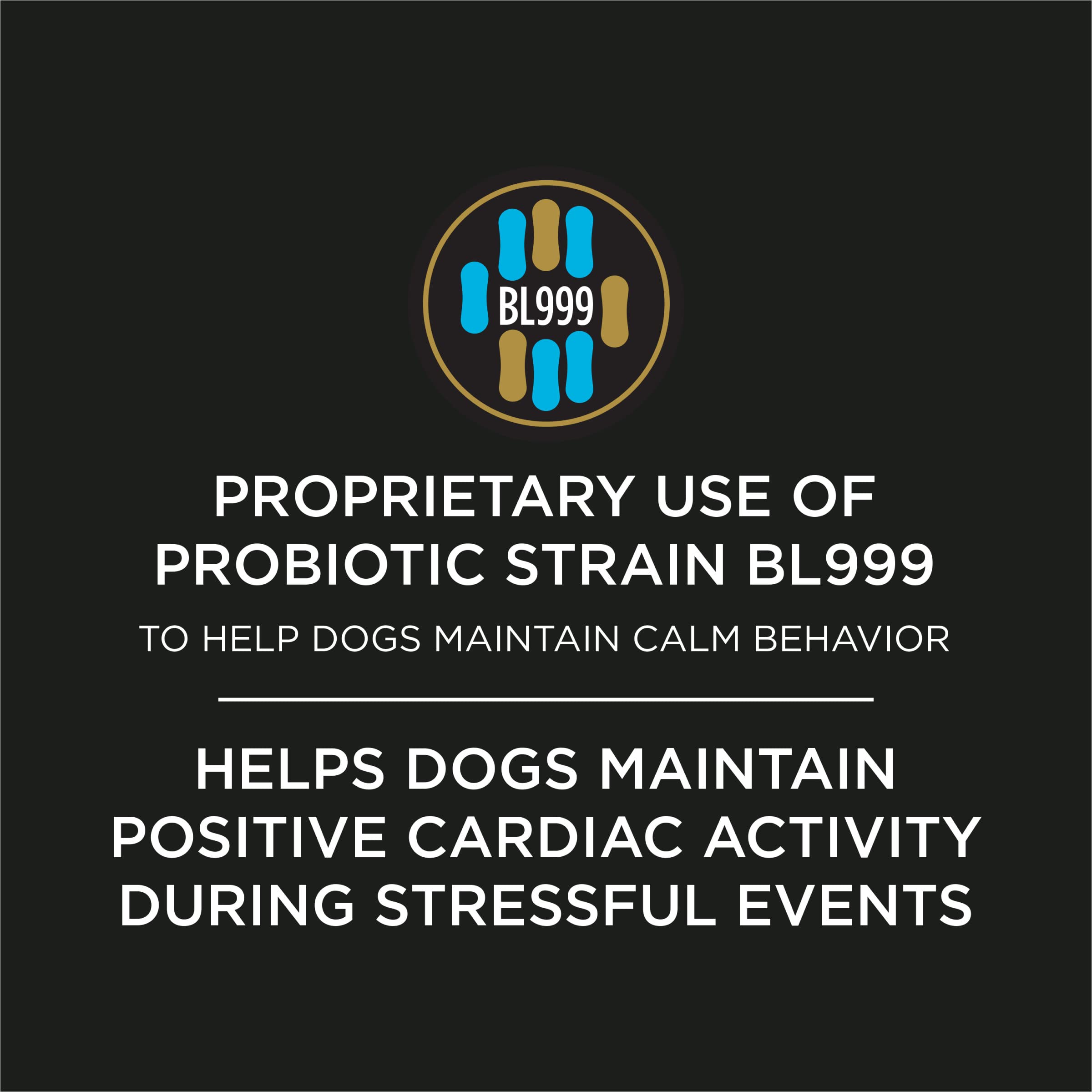 Calming Probiotic Powder for Dogs