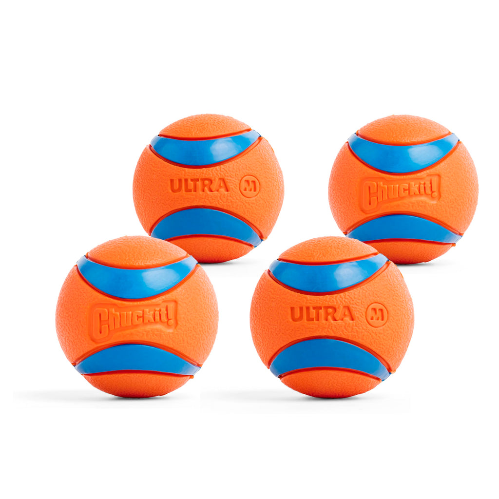 Indoor Fetch Ball & Launcher Set