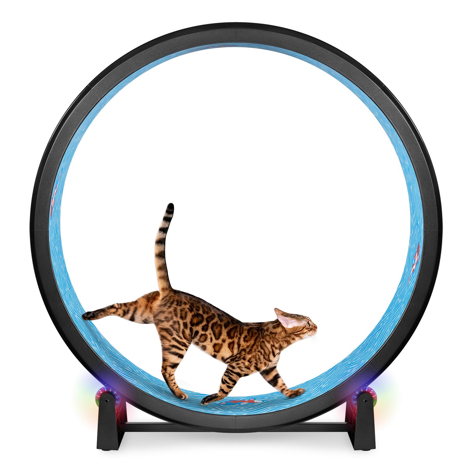 One Fast Cat Exercise Wheel