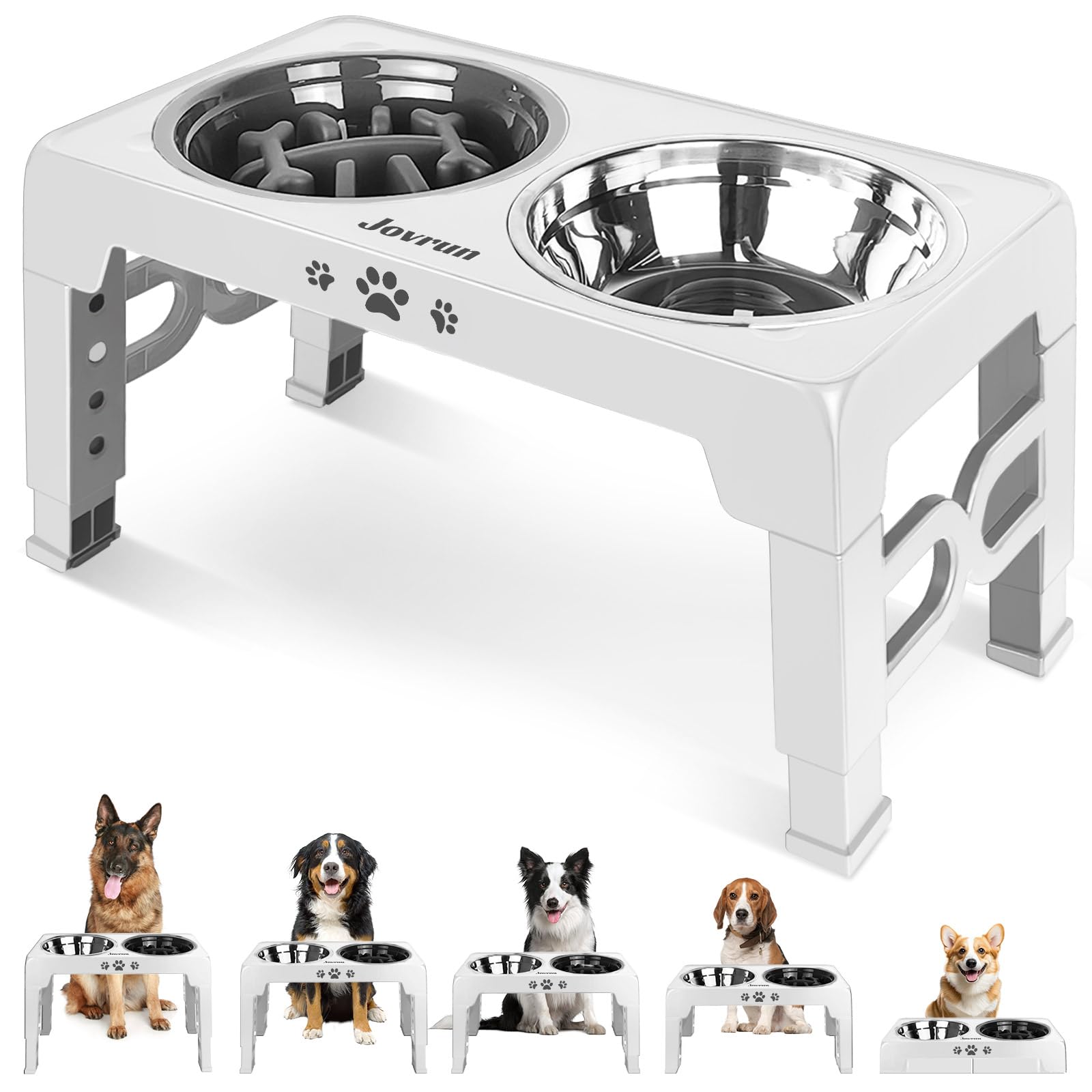 Adjustable Elevated Dog Bowls with Slow Feeder