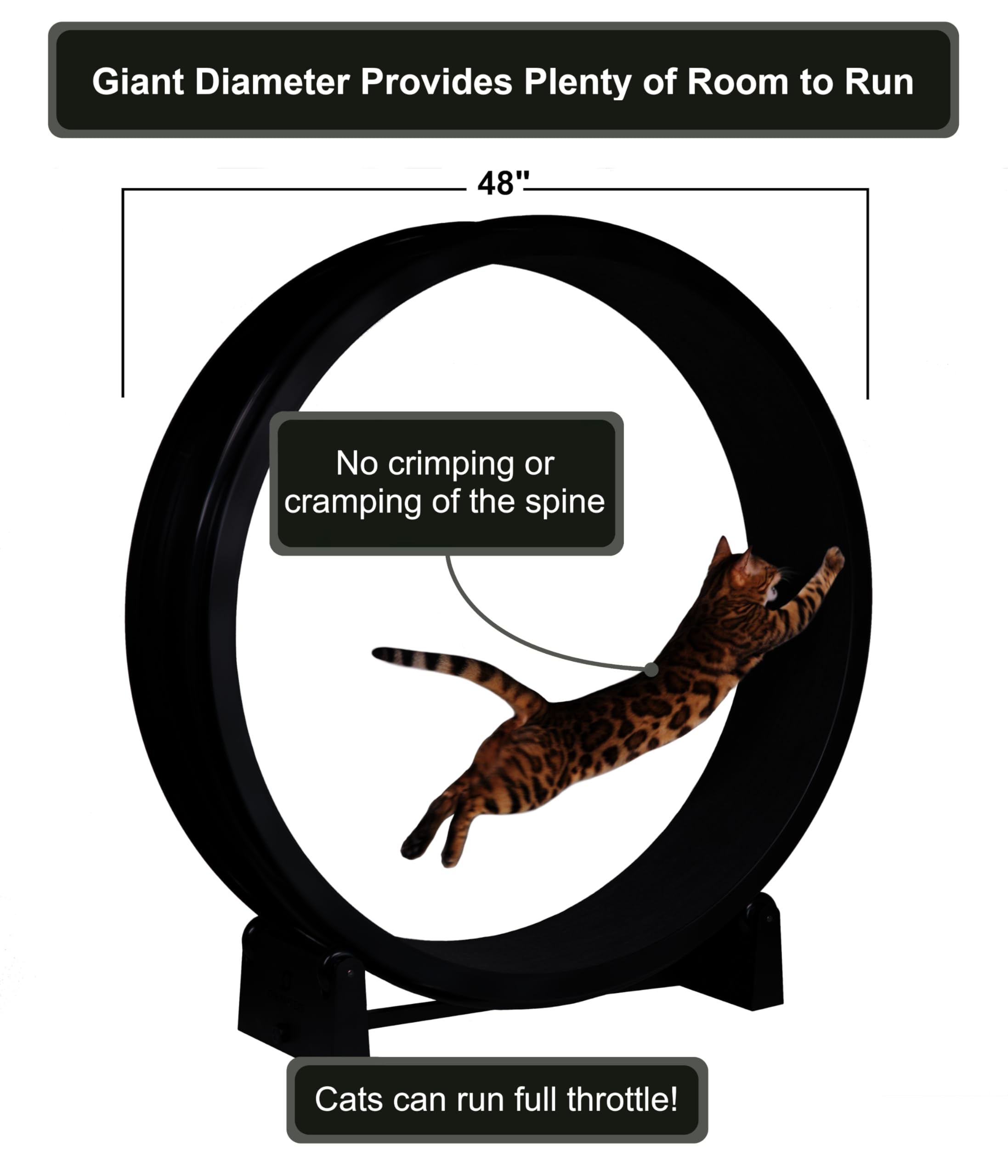 One Fast Cat Exercise Wheel