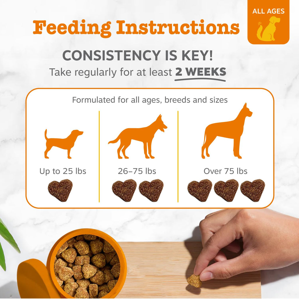 Probiotic Soft Chews for Dogs