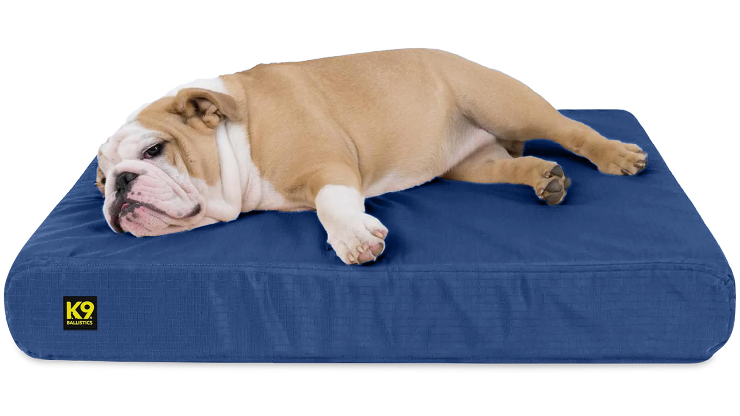 Chew-Resistant Orthopedic Dog Bed