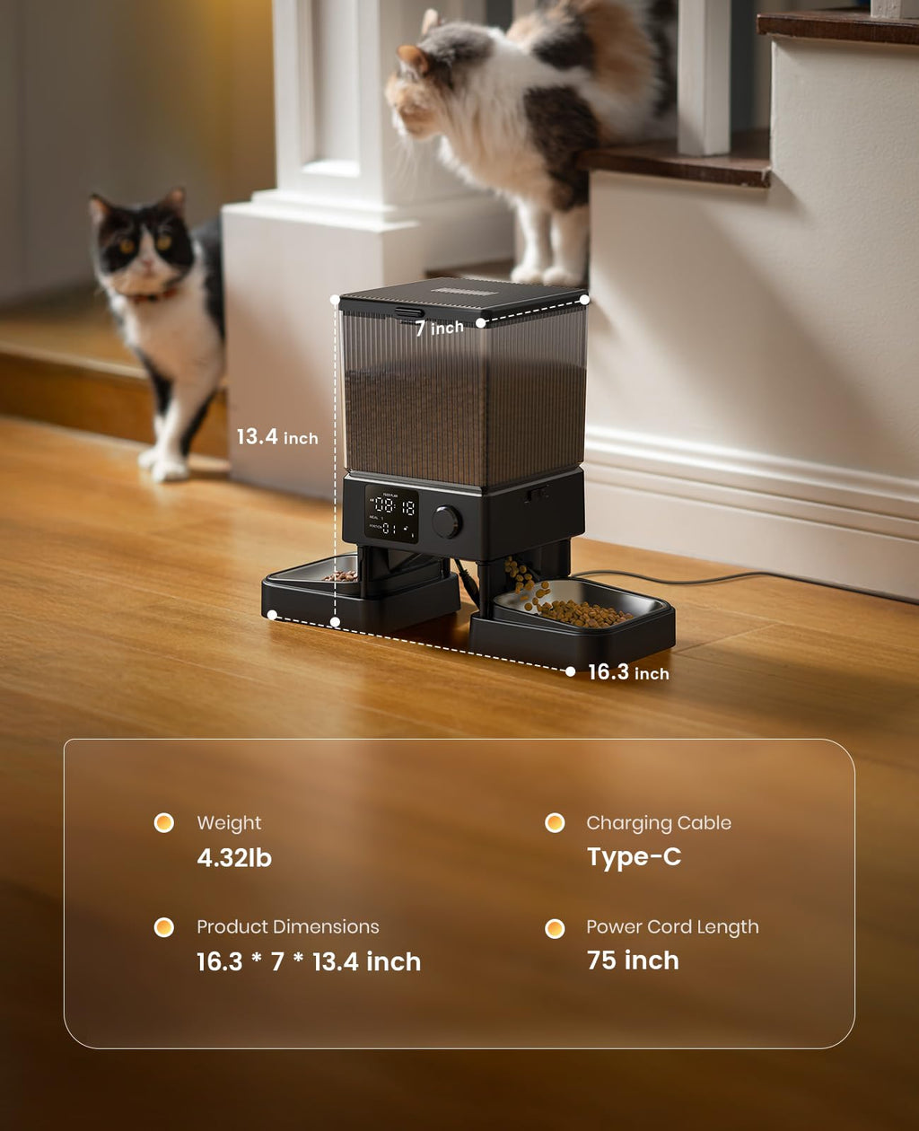 5L Automatic Cat Feeder for 2 Cats