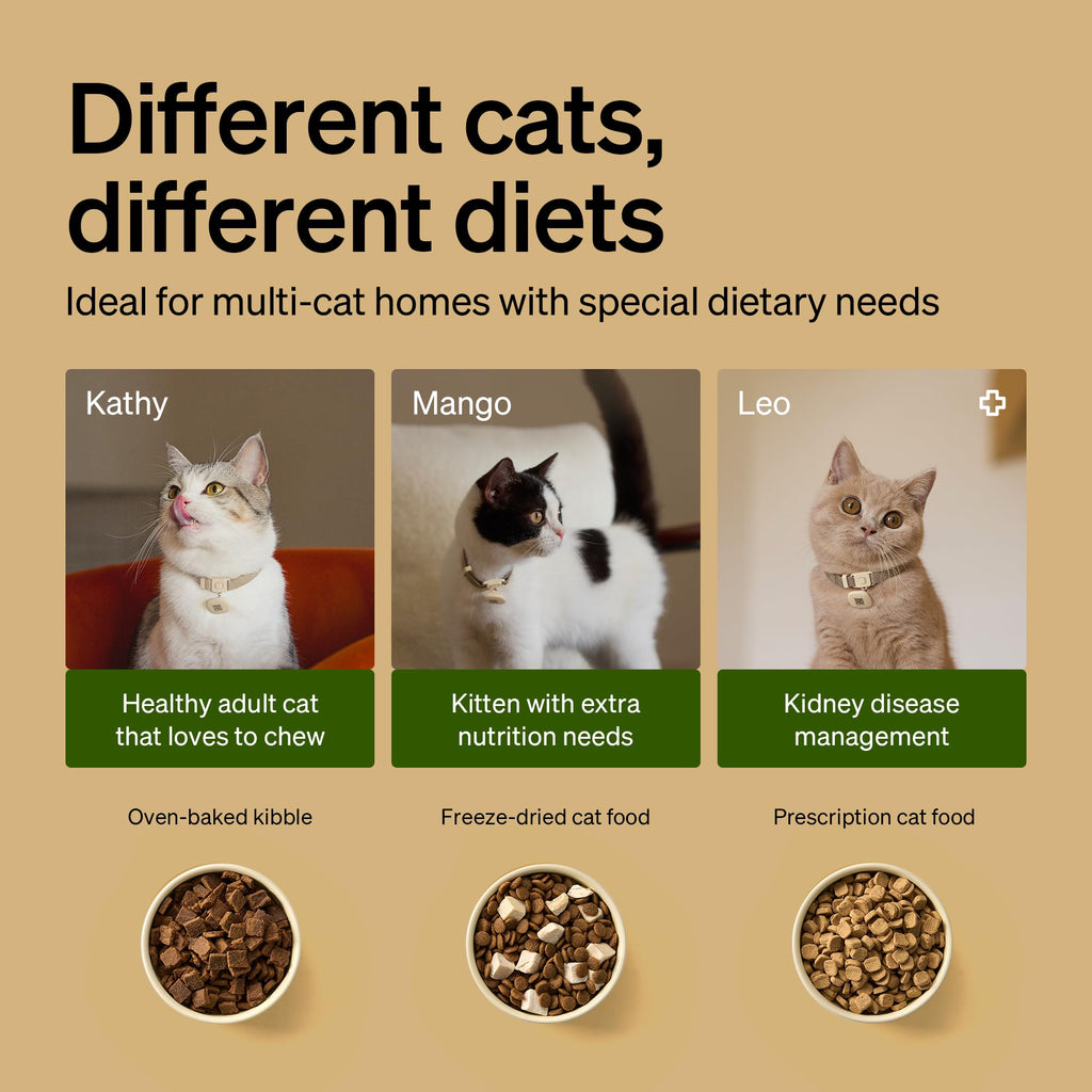 RFID Automatic Cat Feeder with Collar Tag