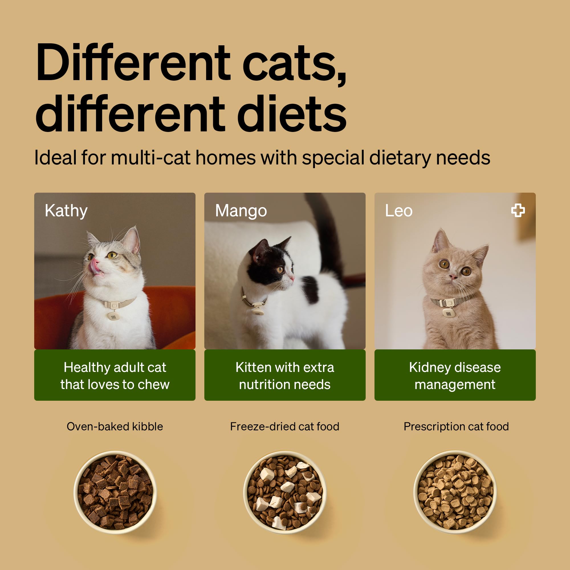 RFID Automatic Cat Feeder with Collar Tag