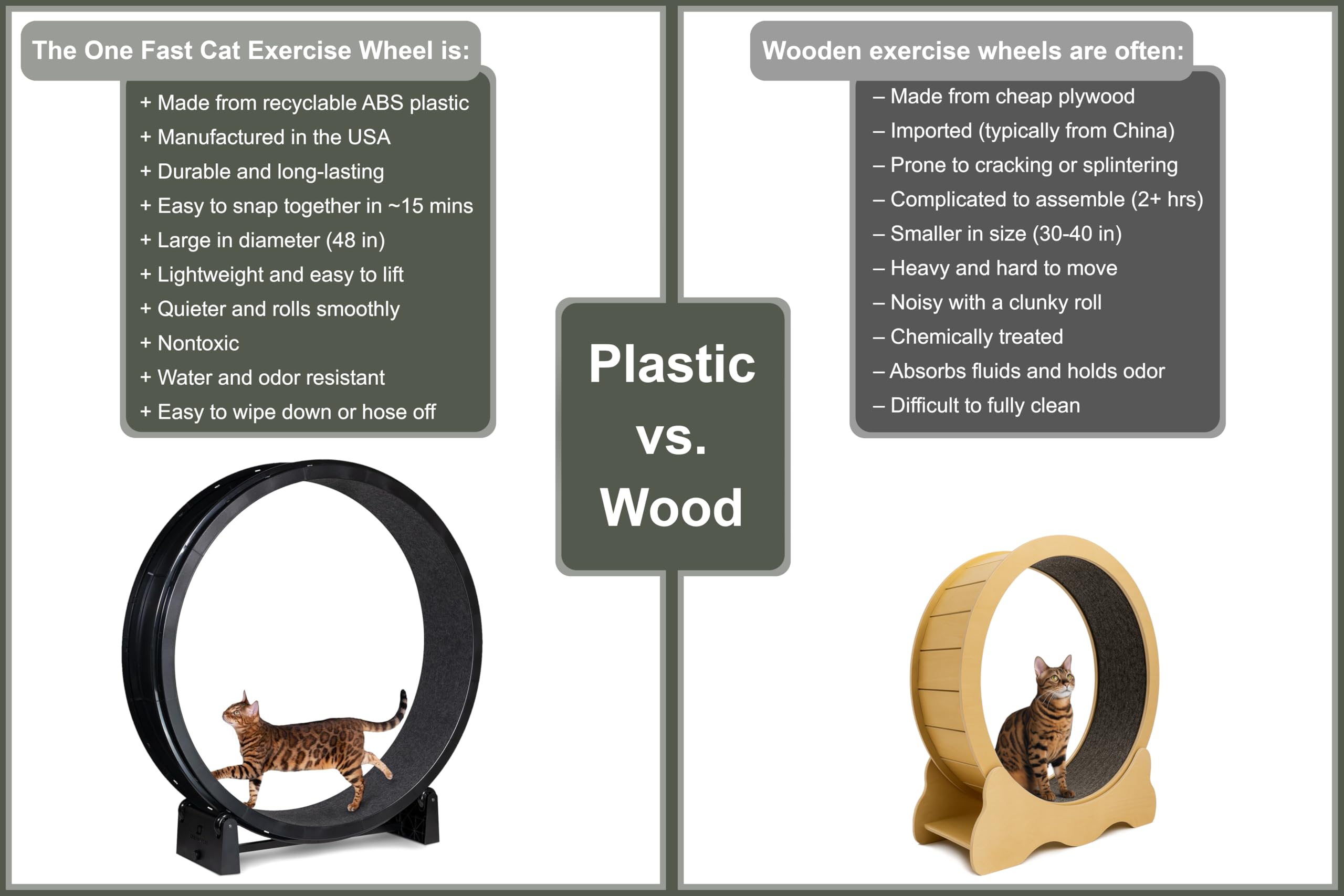 One Fast Cat Exercise Wheel
