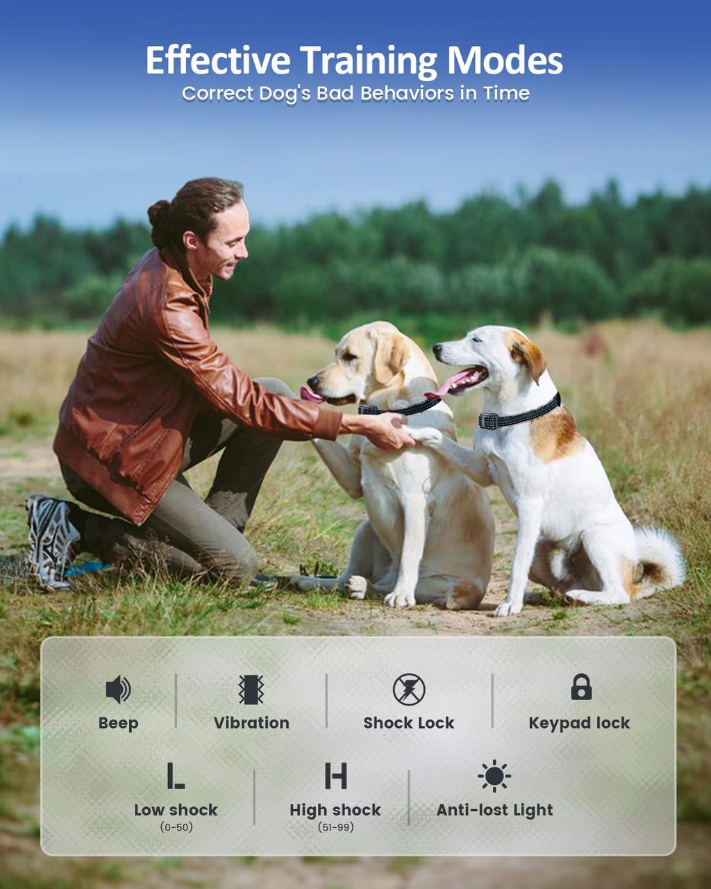Remote Dog Training Collar