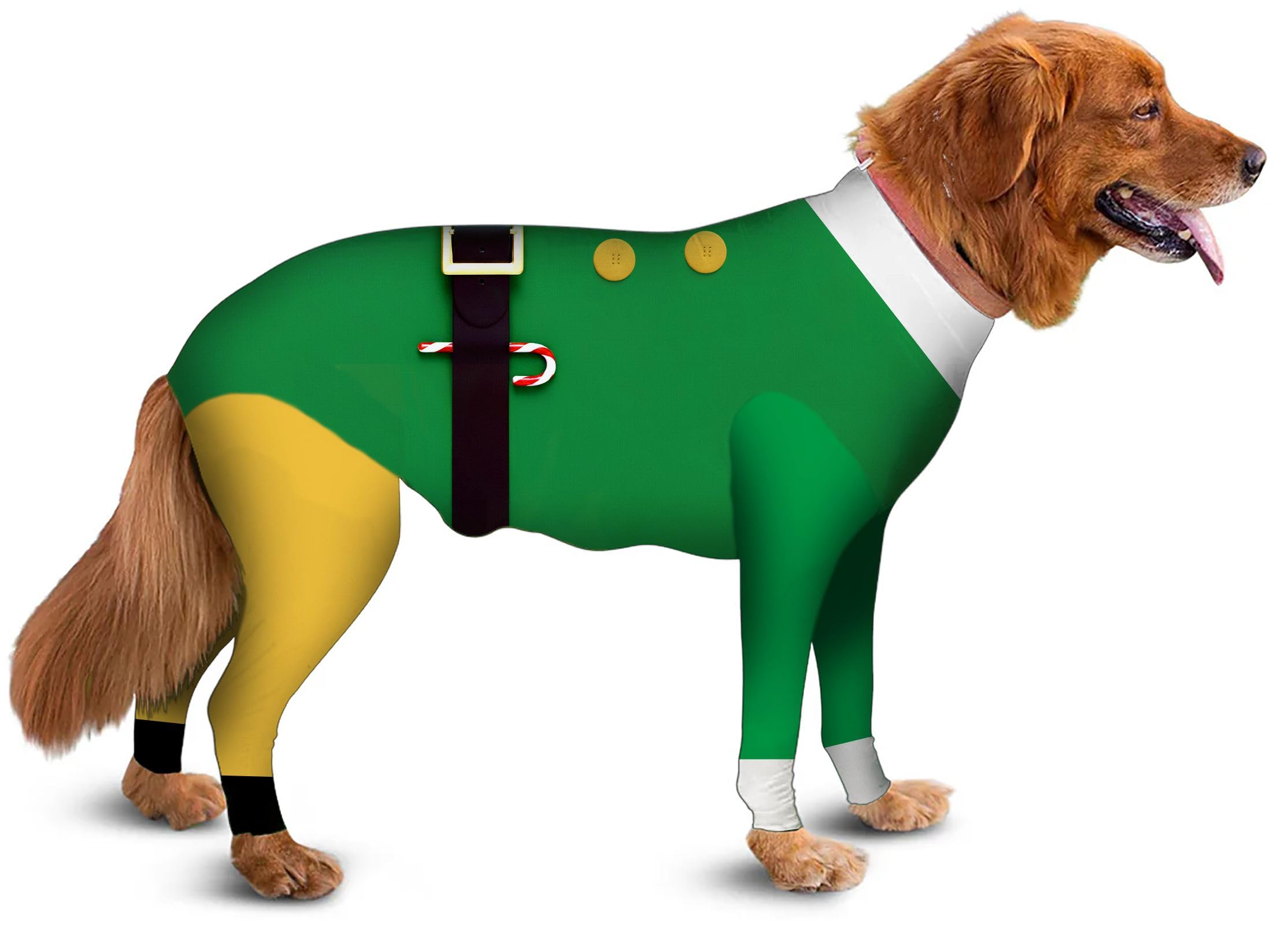 Dog Recovery Suit