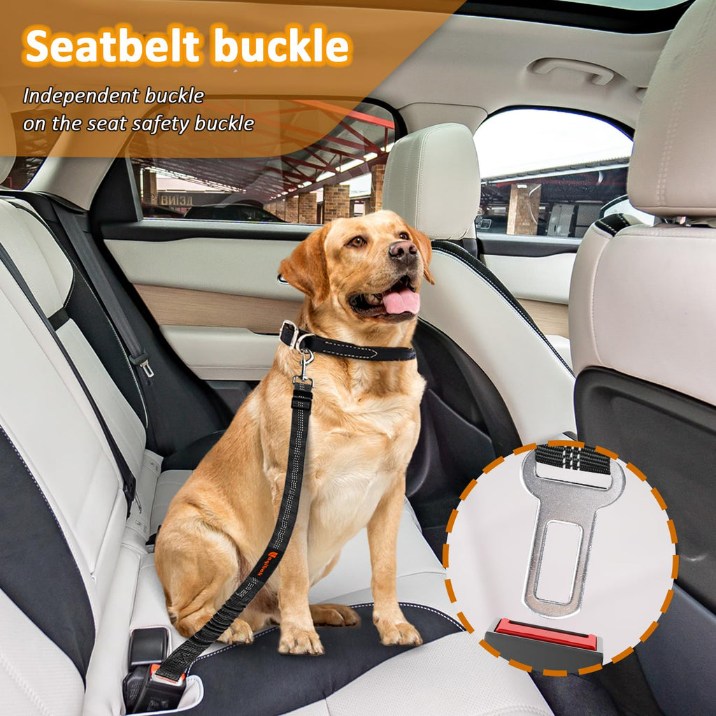 3-in-1 Dog Seat Belt Leash