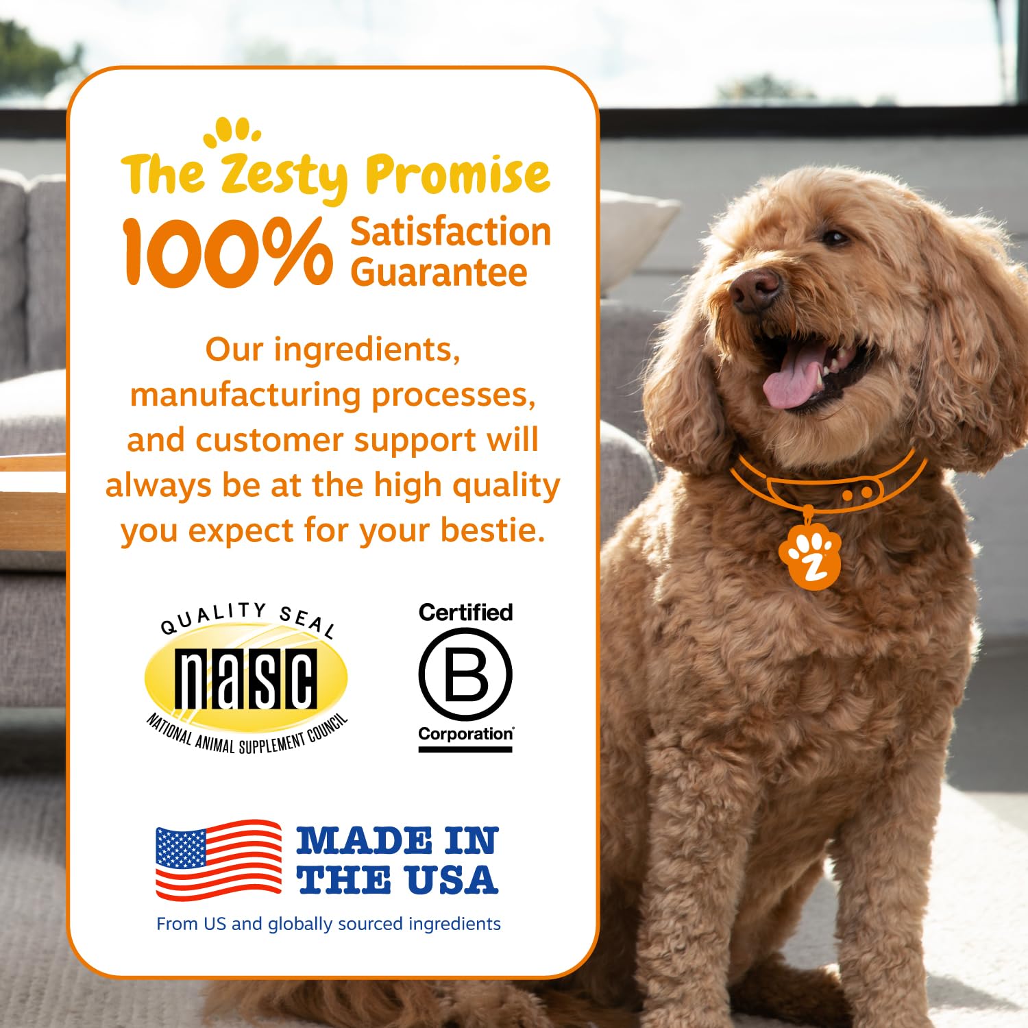 Probiotic Soft Chews for Dogs