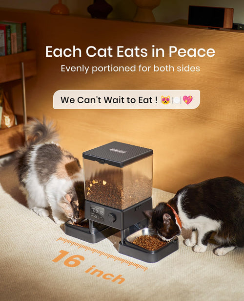 5L Automatic Cat Feeder for 2 Cats