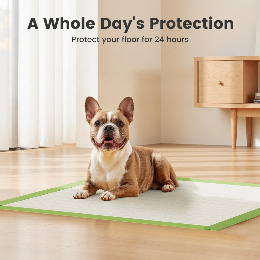 Extra Large Pet Training Pads