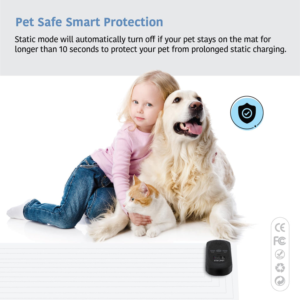 Pet Training Shock Mat
