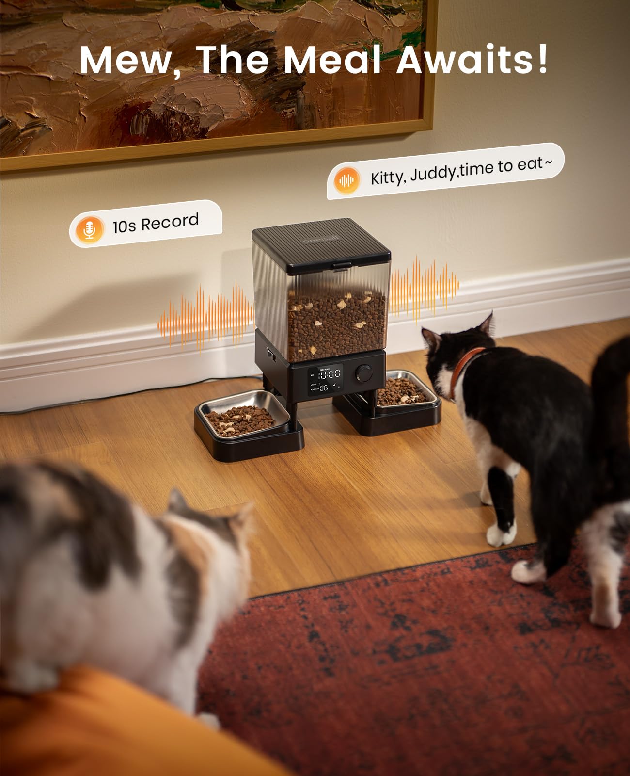 5L Automatic Cat Feeder for 2 Cats