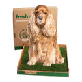 Fresh Patch Disposable Dog Potty with Real Grass