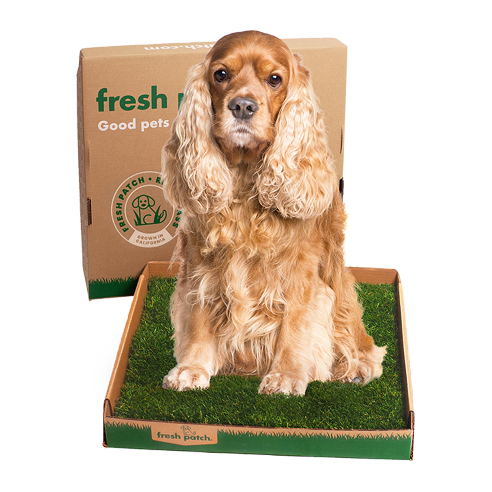 Fresh Patch Disposable Dog Potty with Real Grass