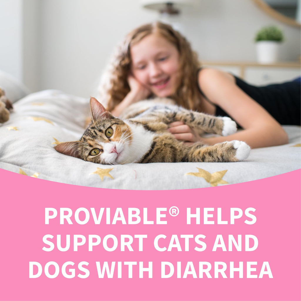 Probiotic Supplement for Dogs & Cats