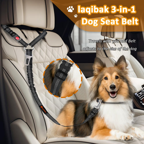3-in-1 Dog Seat Belt Leash