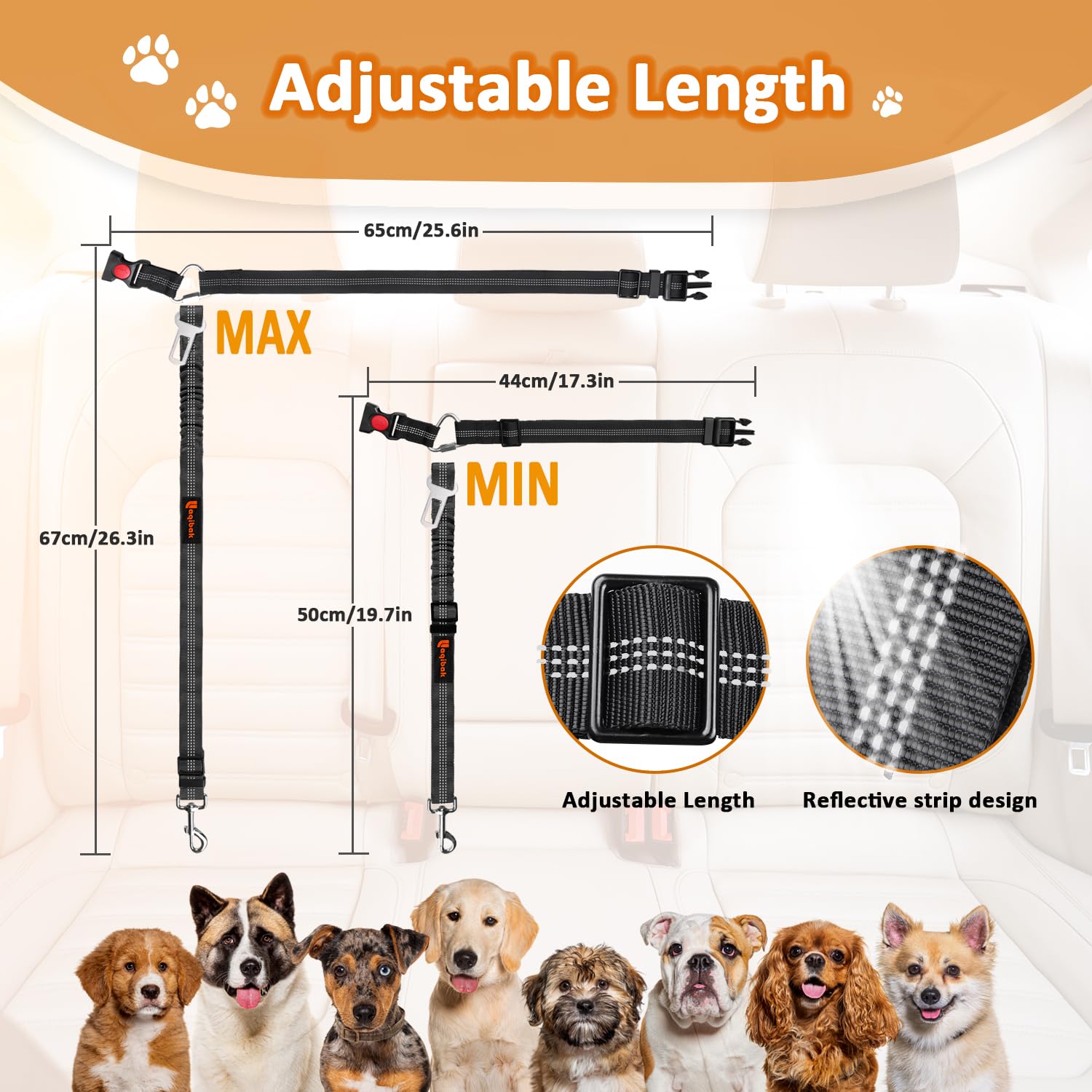 3-in-1 Dog Seat Belt Leash