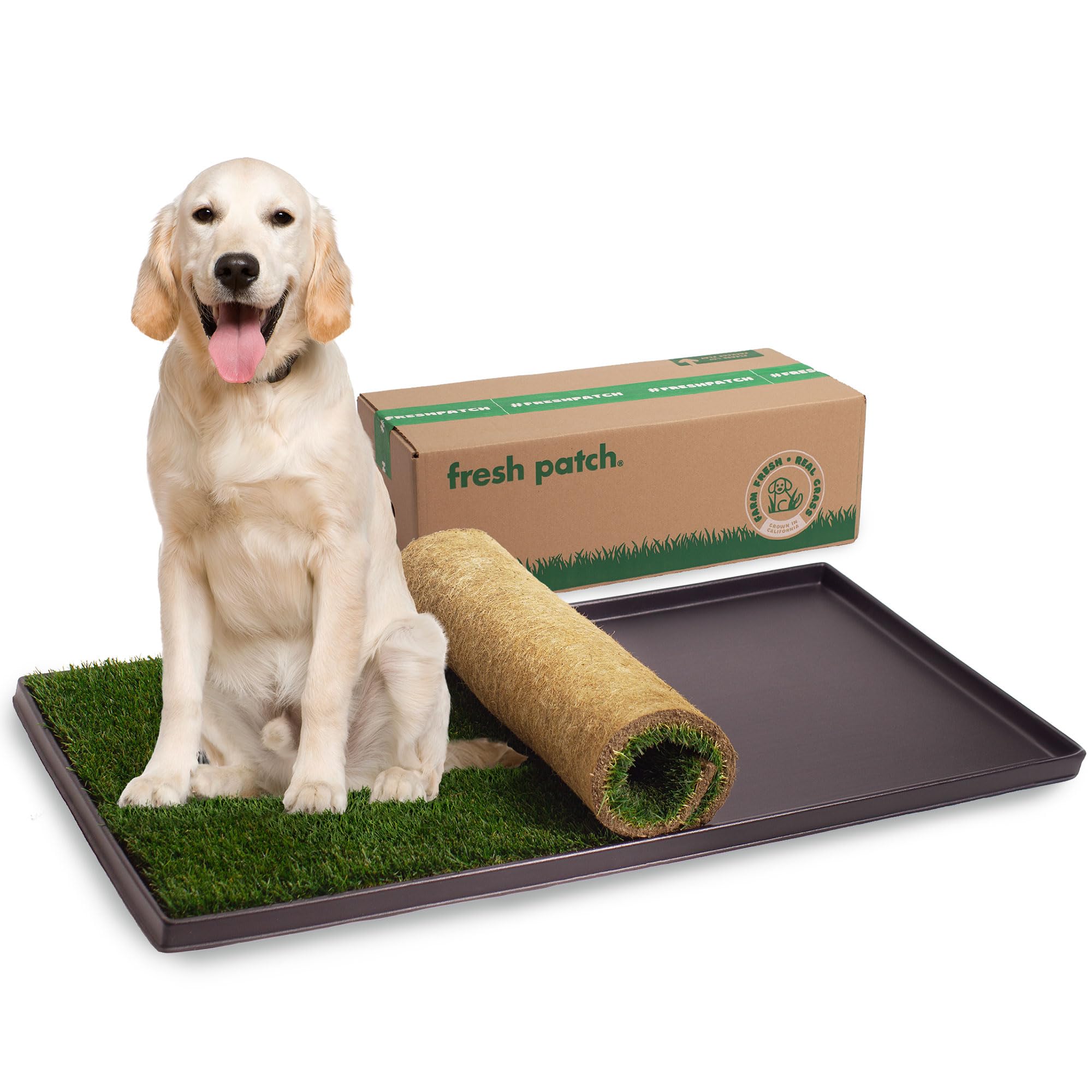Fresh Patch Disposable Dog Potty with Real Grass