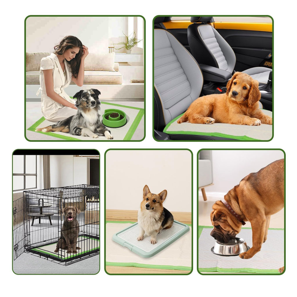Extra Large Pet Training Pads