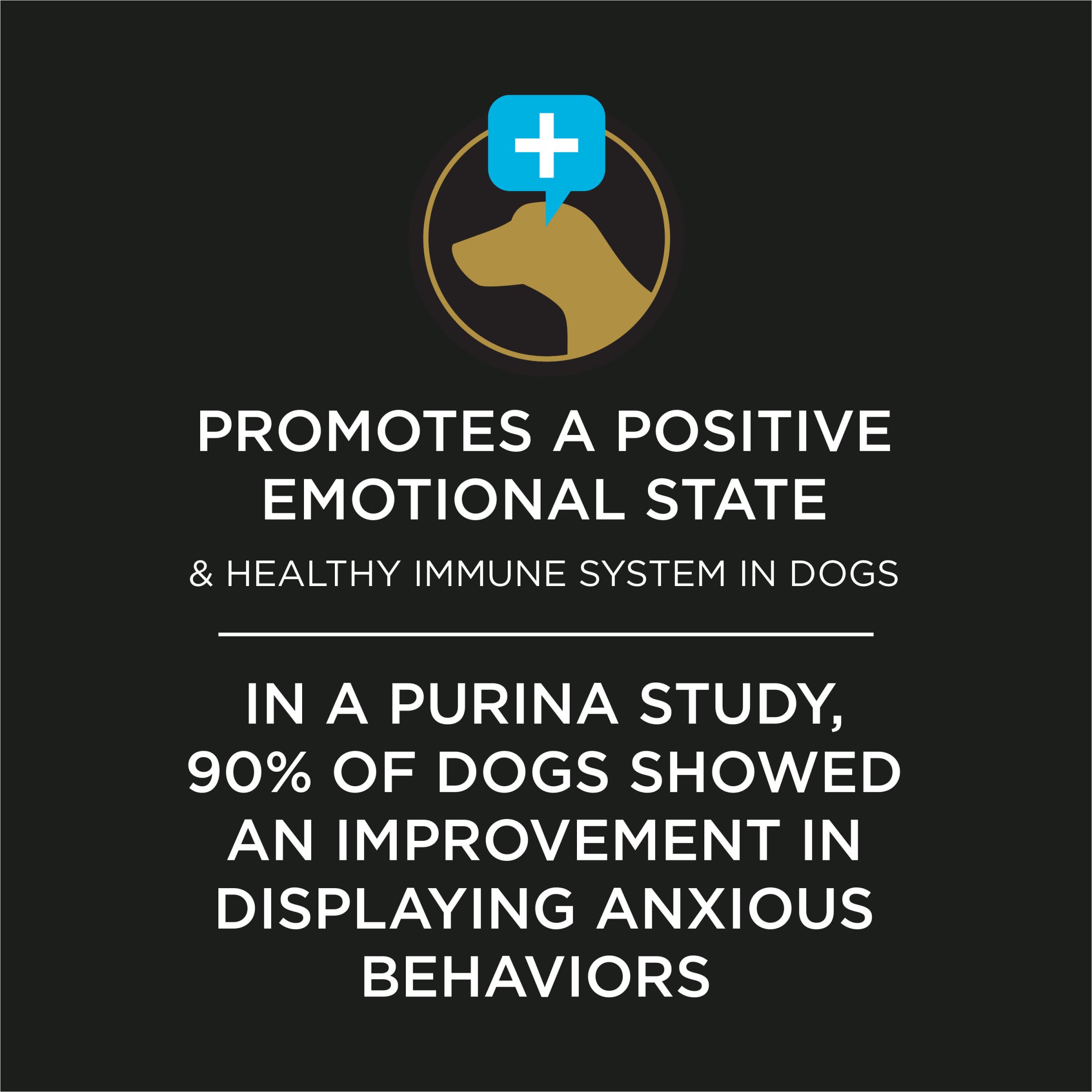 Calming Probiotic Powder for Dogs