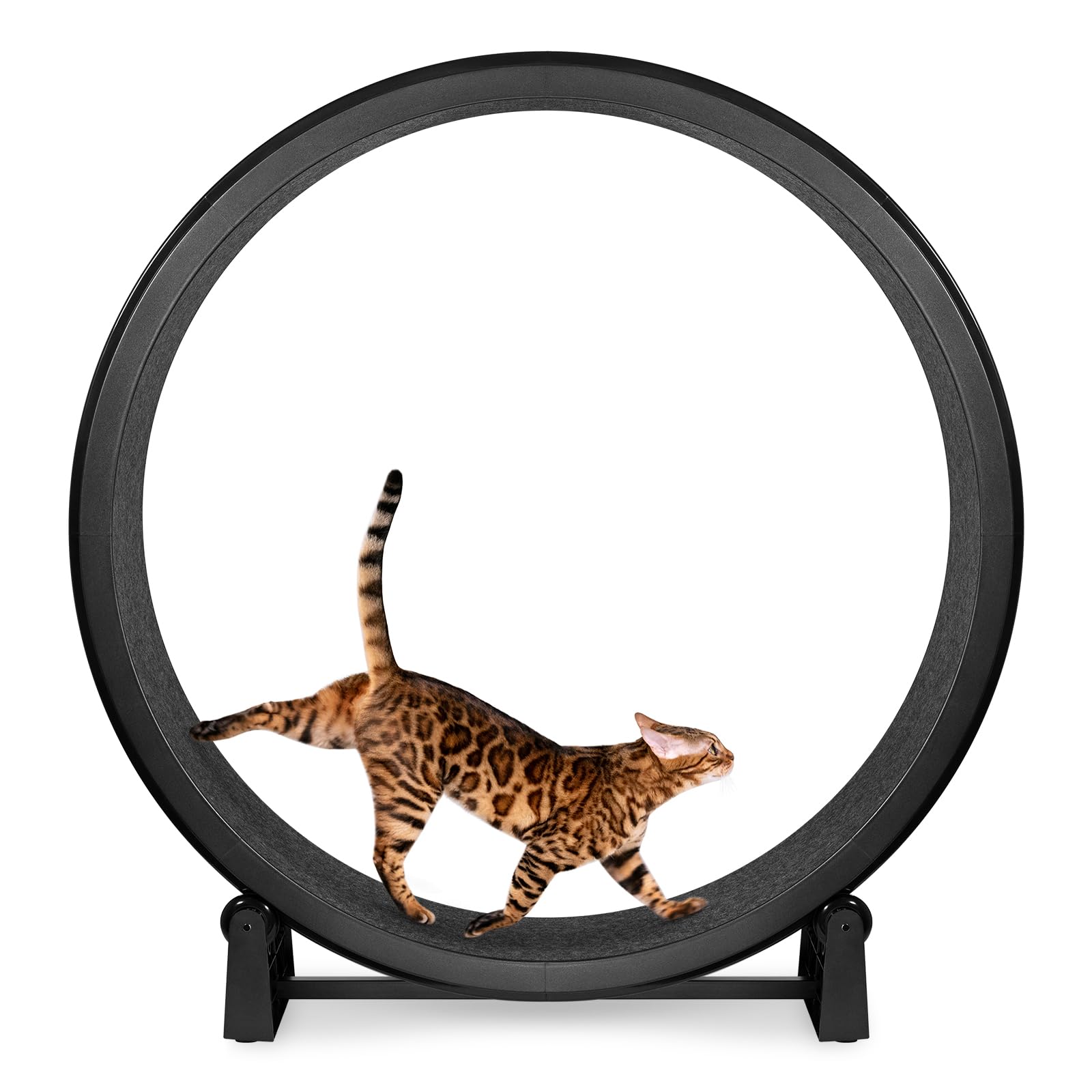 One Fast Cat Exercise Wheel