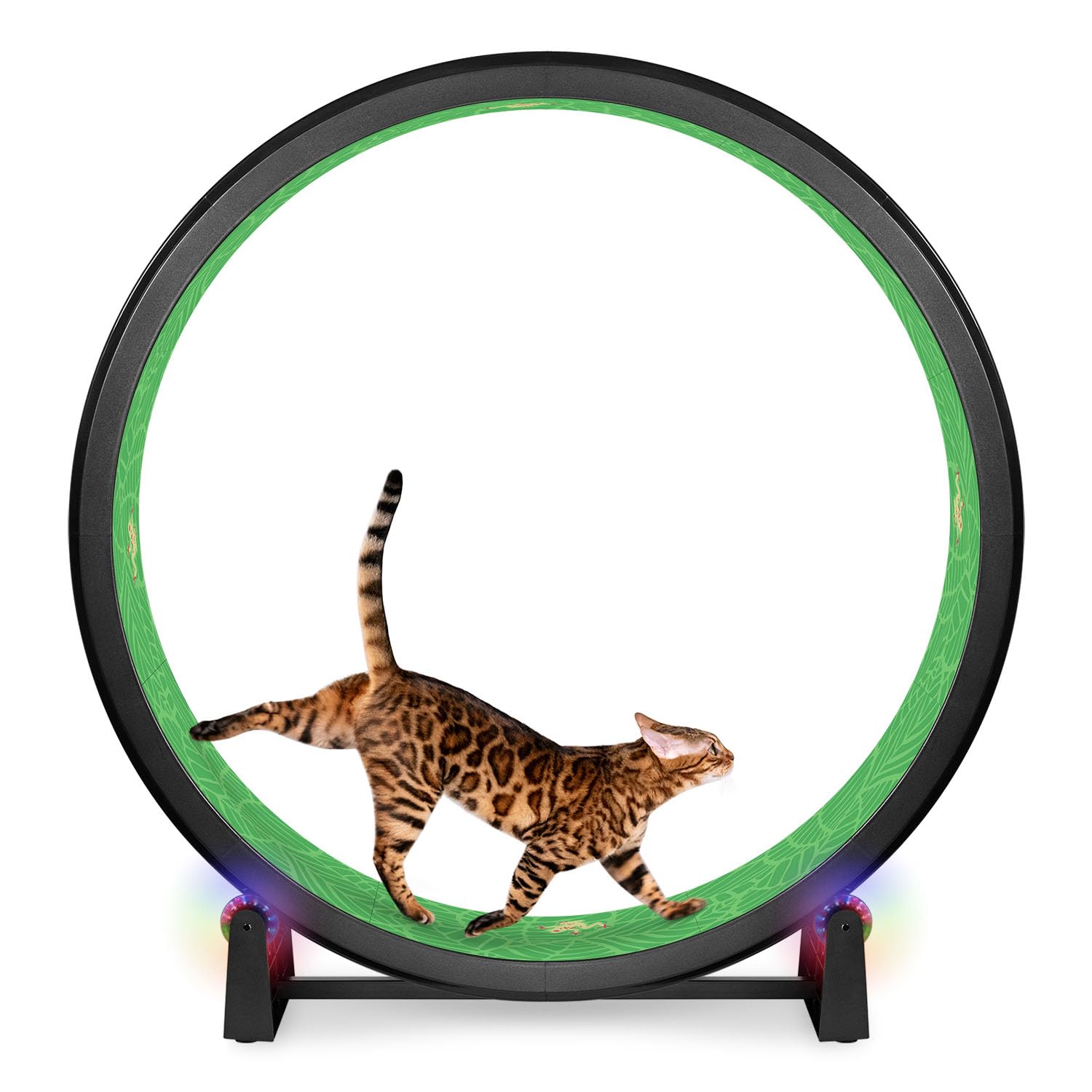 One Fast Cat Exercise Wheel