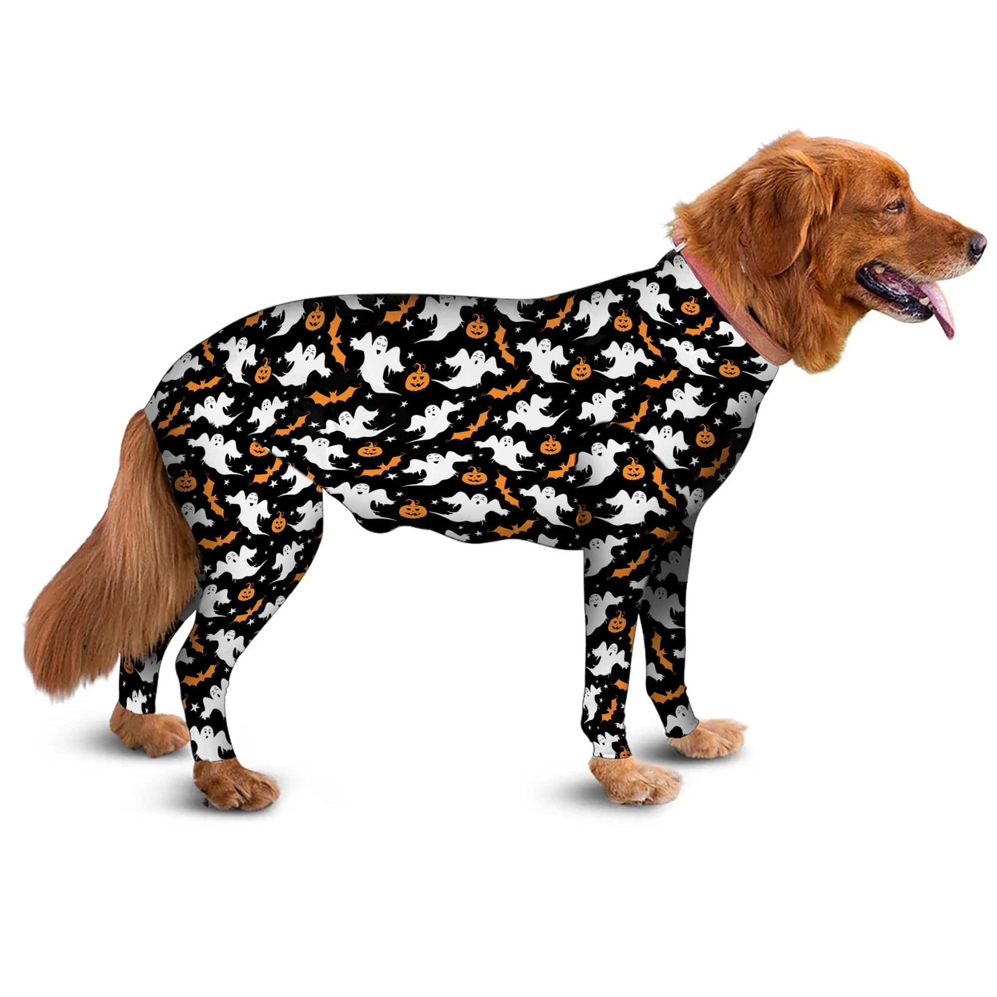 Dog Recovery Suit