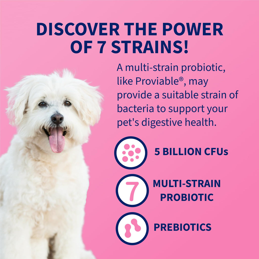 Probiotic Supplement for Dogs & Cats