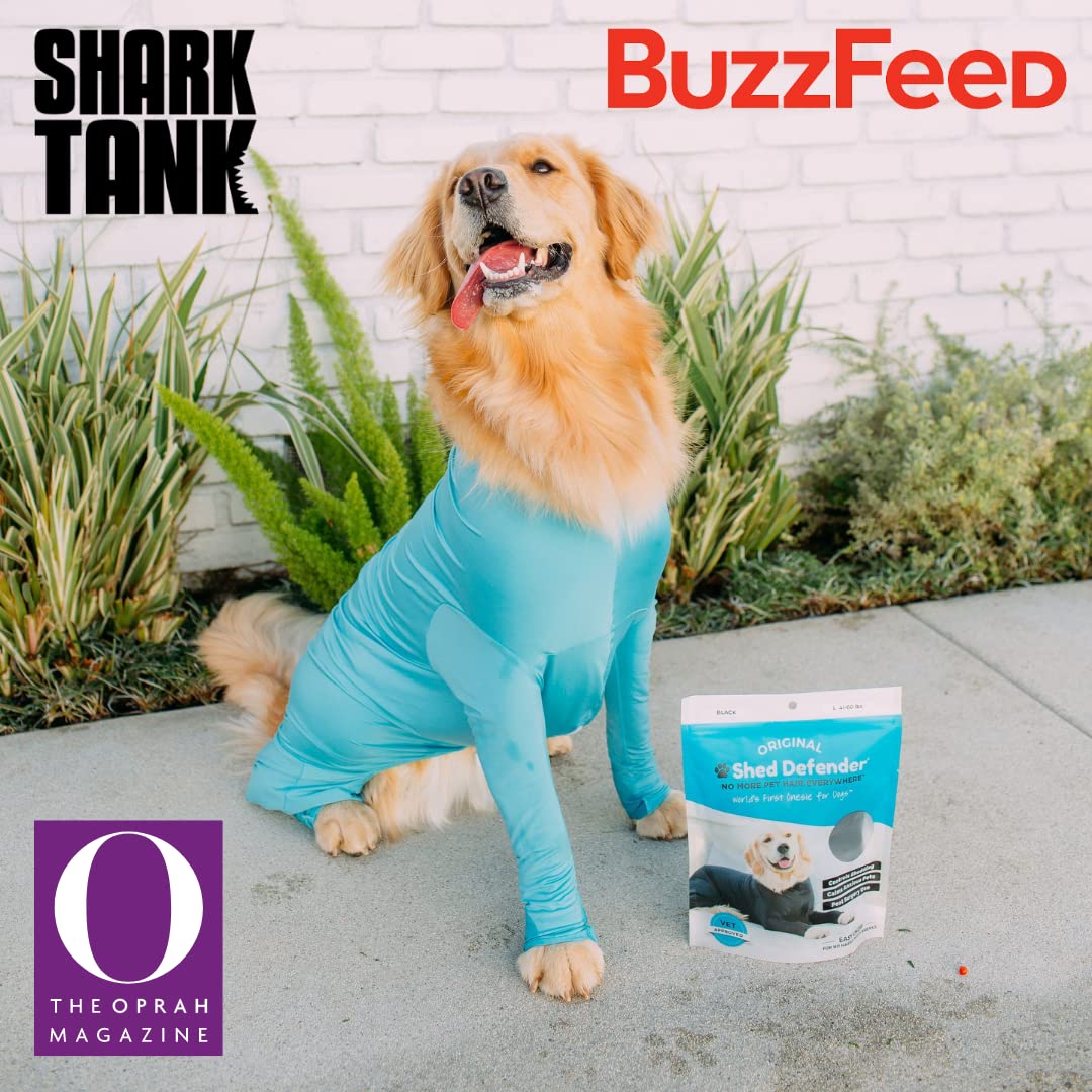 Dog Recovery Suit
