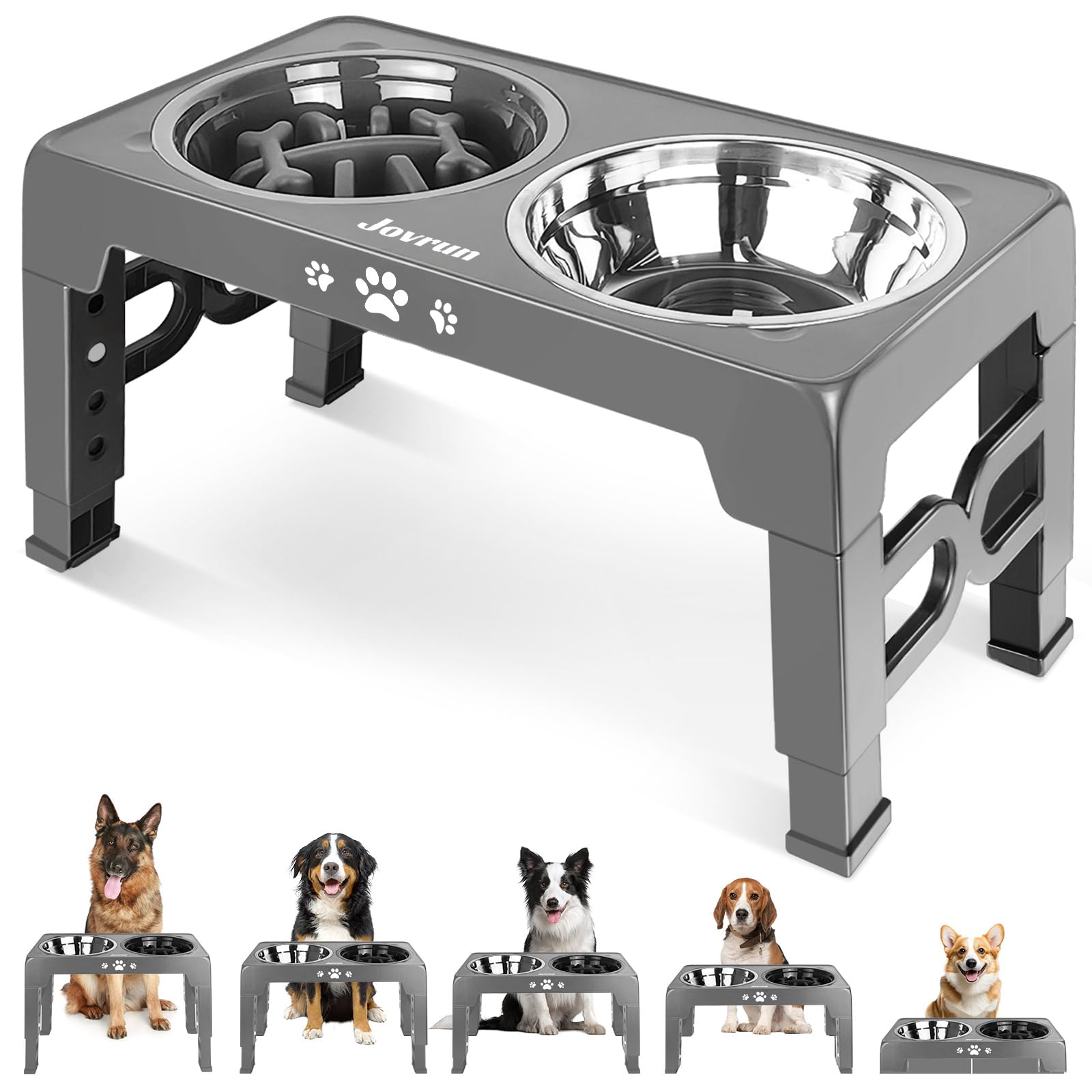 Adjustable Elevated Dog Bowls with Slow Feeder