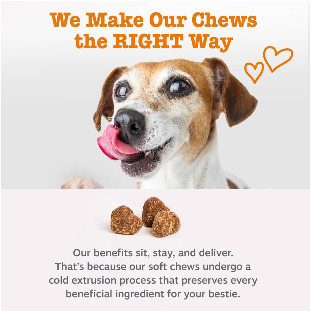 Probiotic Soft Chews for Dogs