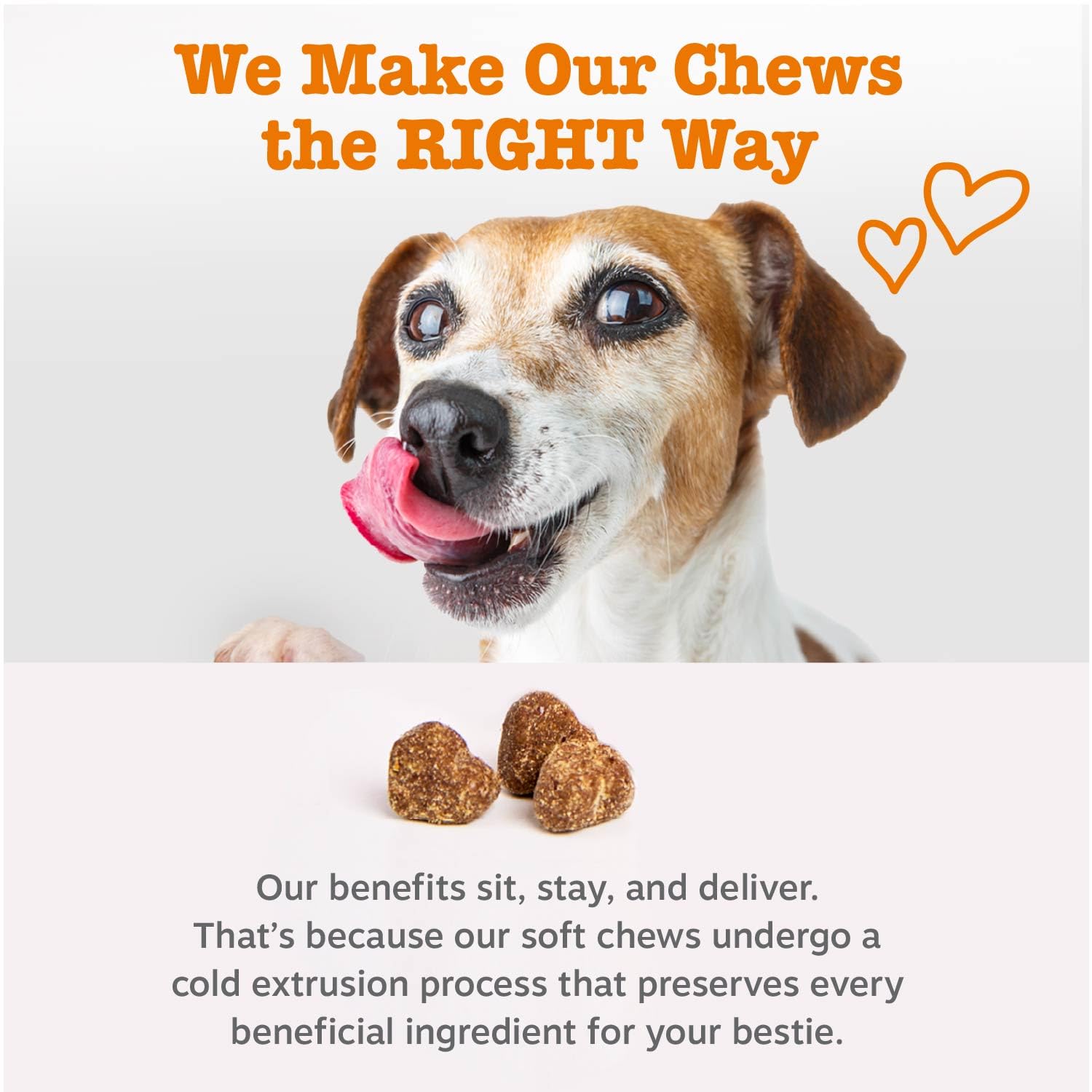 Probiotic Soft Chews for Dogs