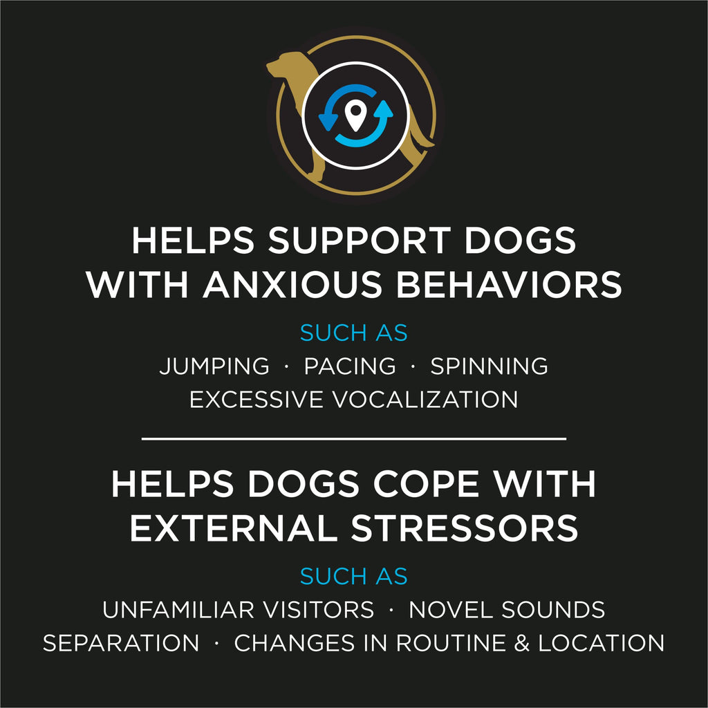 Calming Probiotic Powder for Dogs