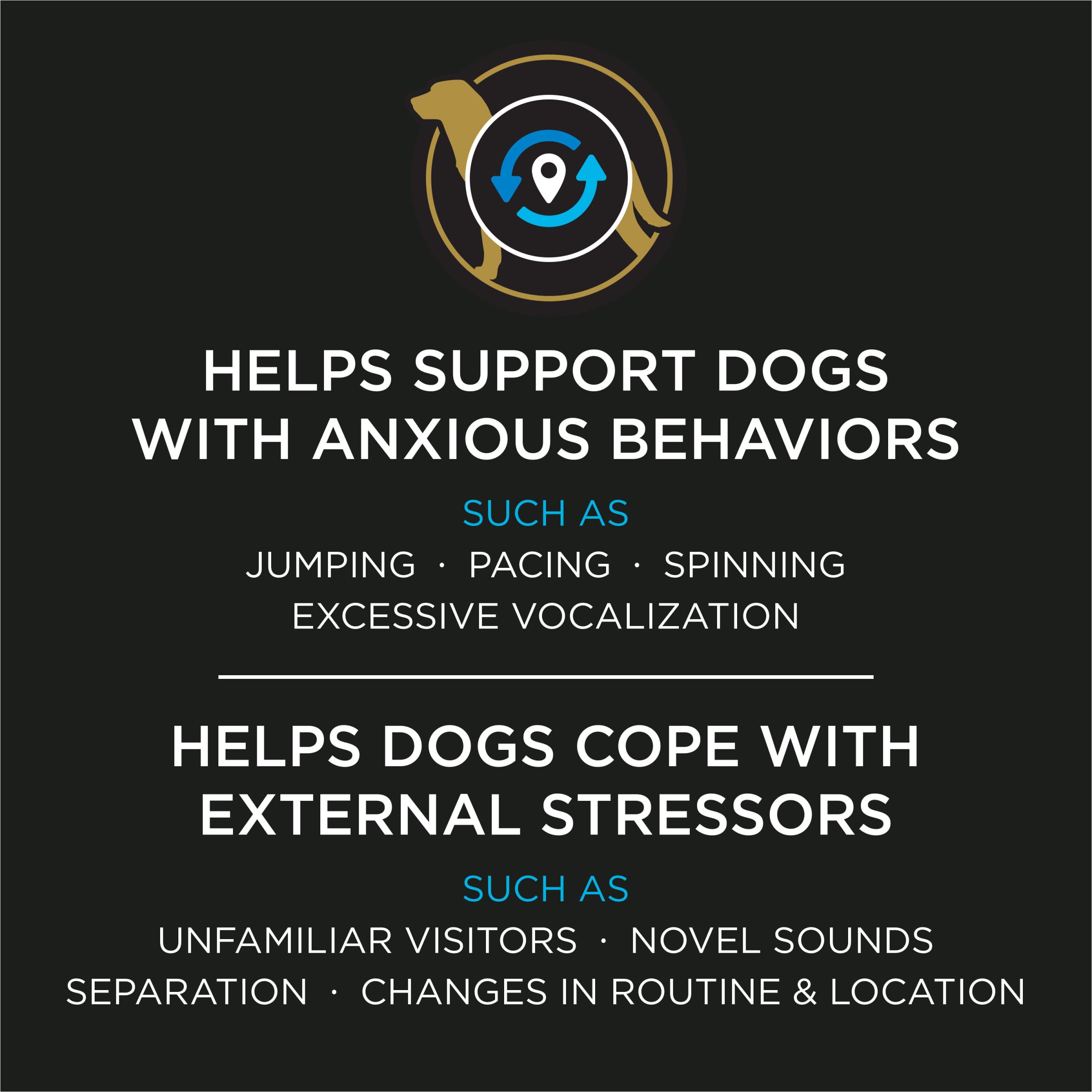 Calming Probiotic Powder for Dogs