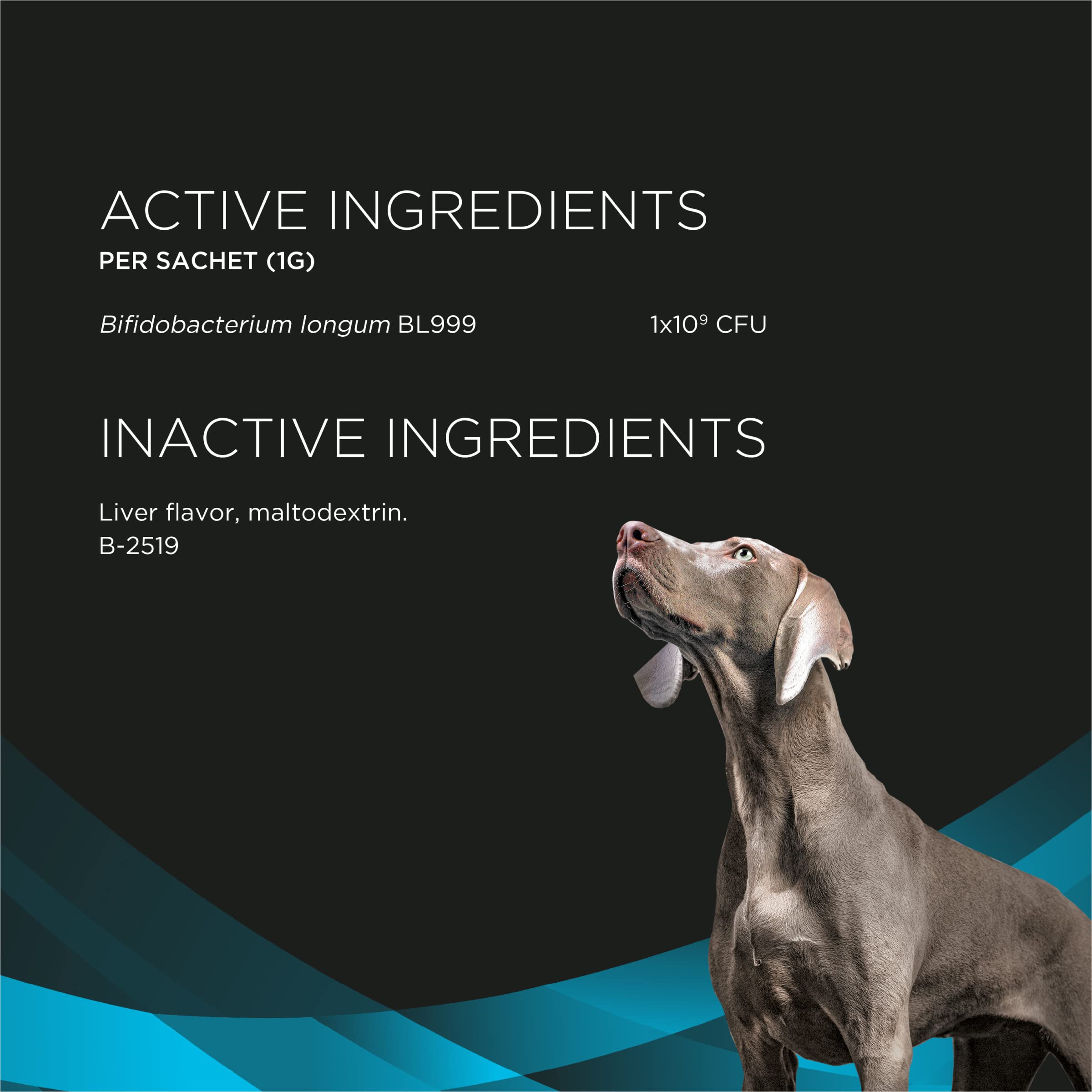 Calming Probiotic Powder for Dogs