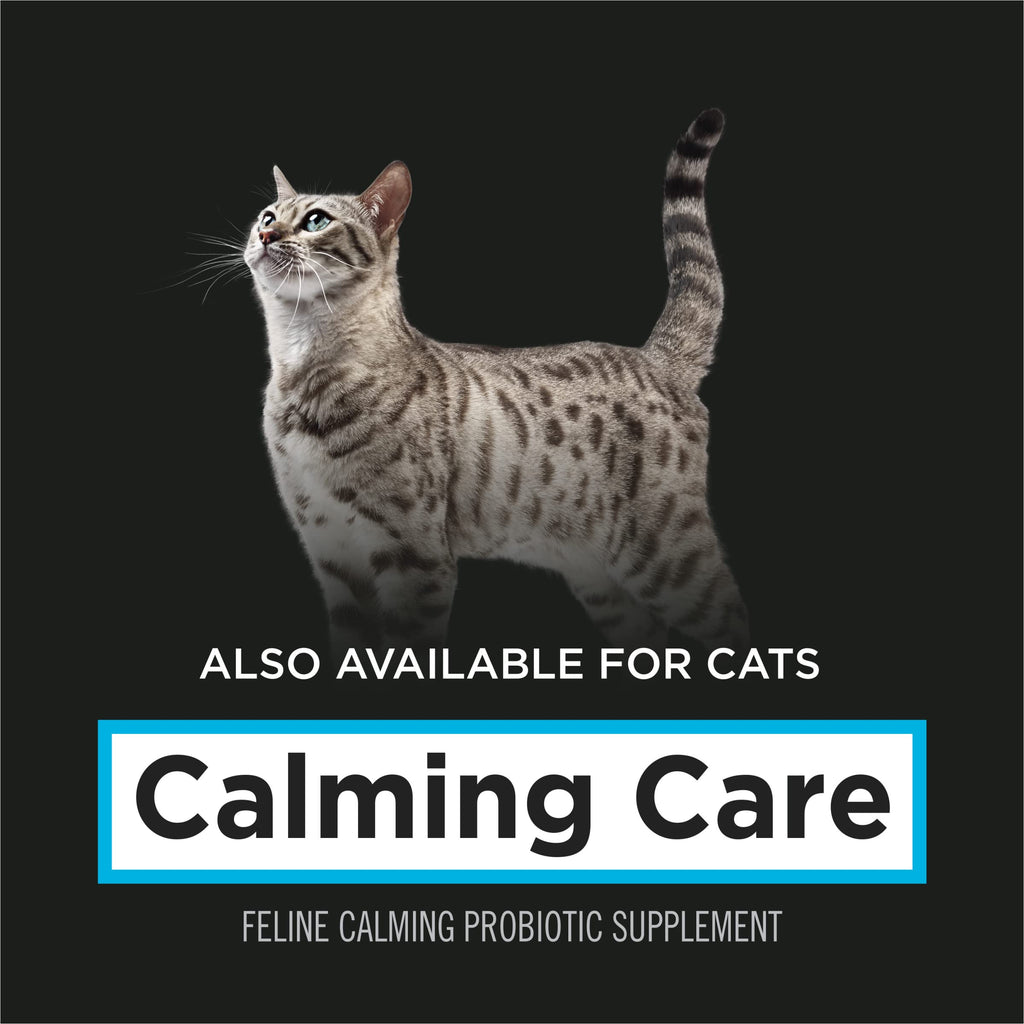 Calming Probiotic Powder for Dogs