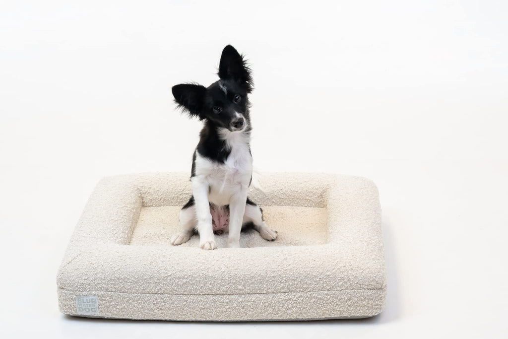 Orthopedic Memory Foam Dog Bed