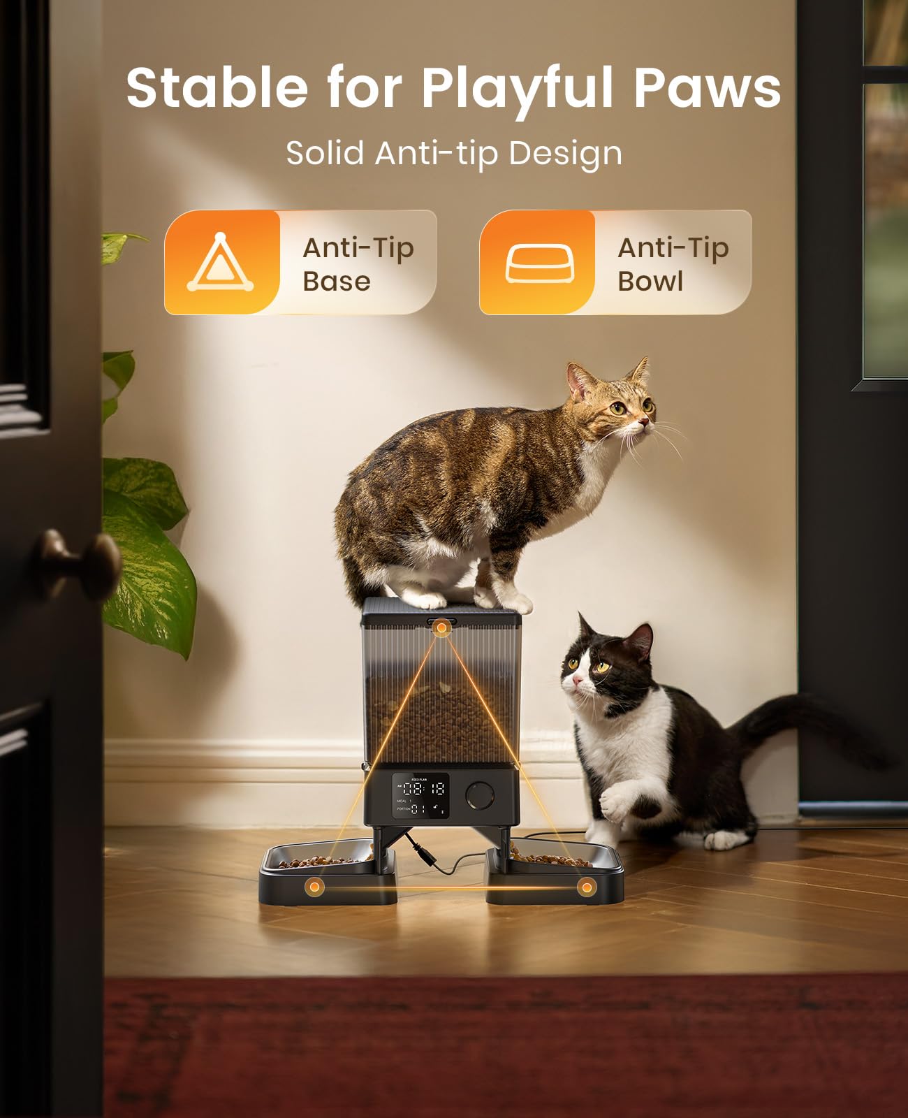 5L Automatic Cat Feeder for 2 Cats