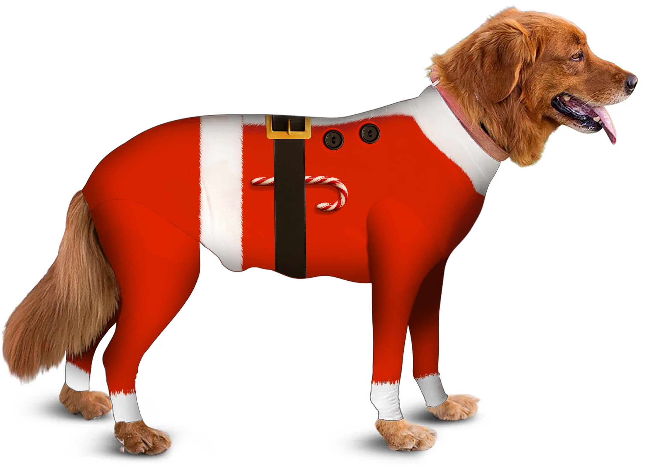 Dog Recovery Suit