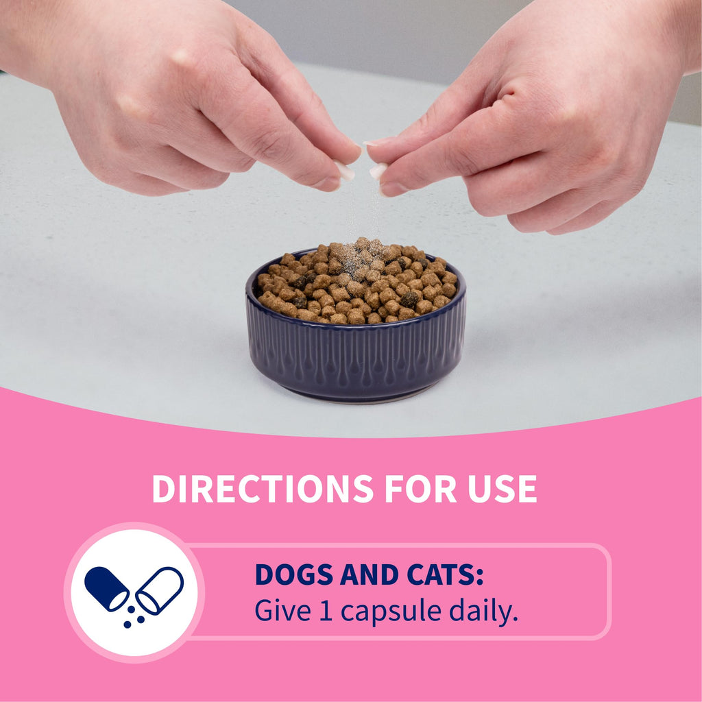Probiotic Supplement for Dogs & Cats