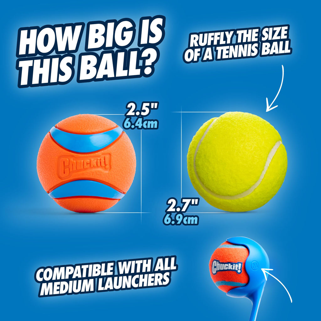 Indoor Fetch Ball & Launcher Set
