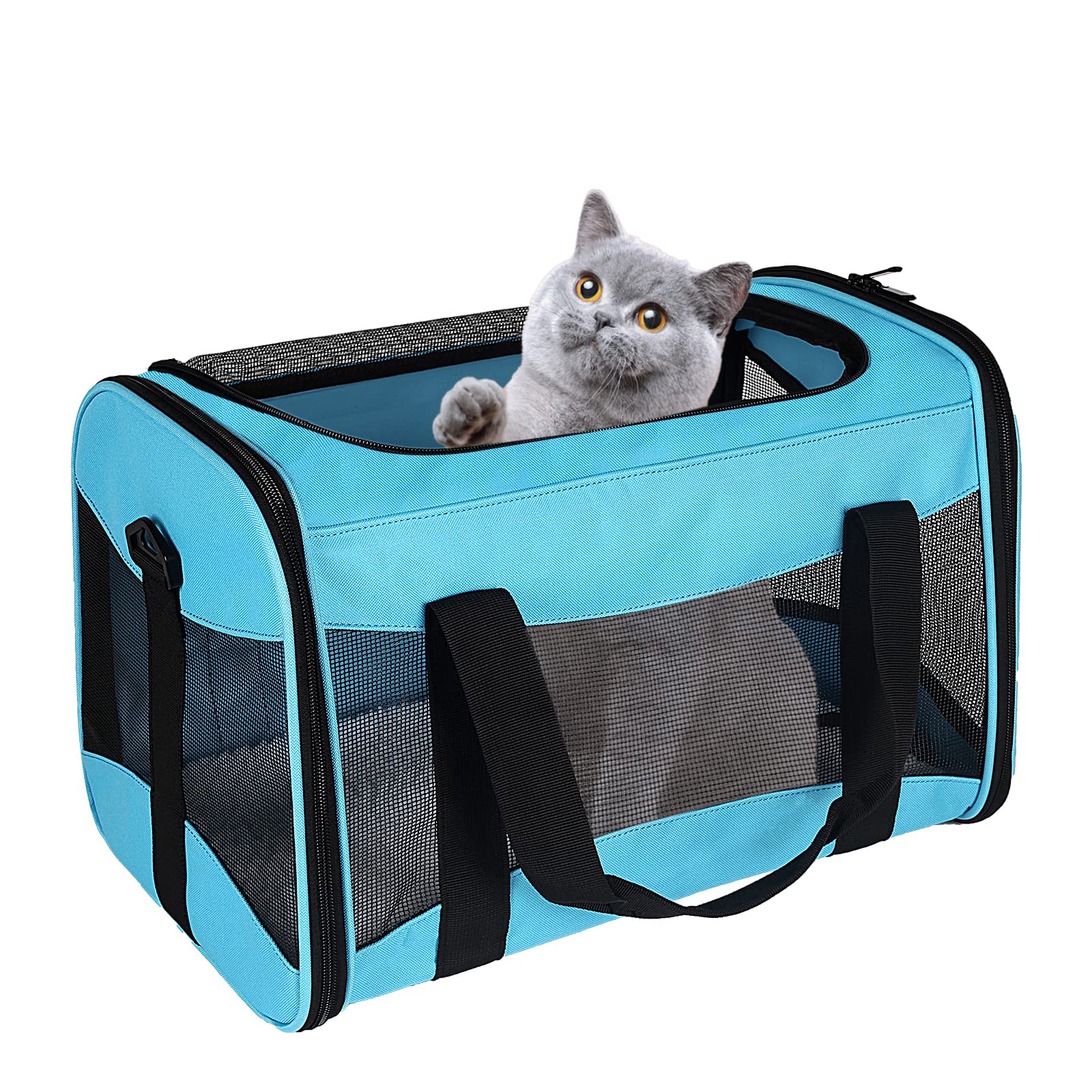 Airline-Approved Pet Carrier