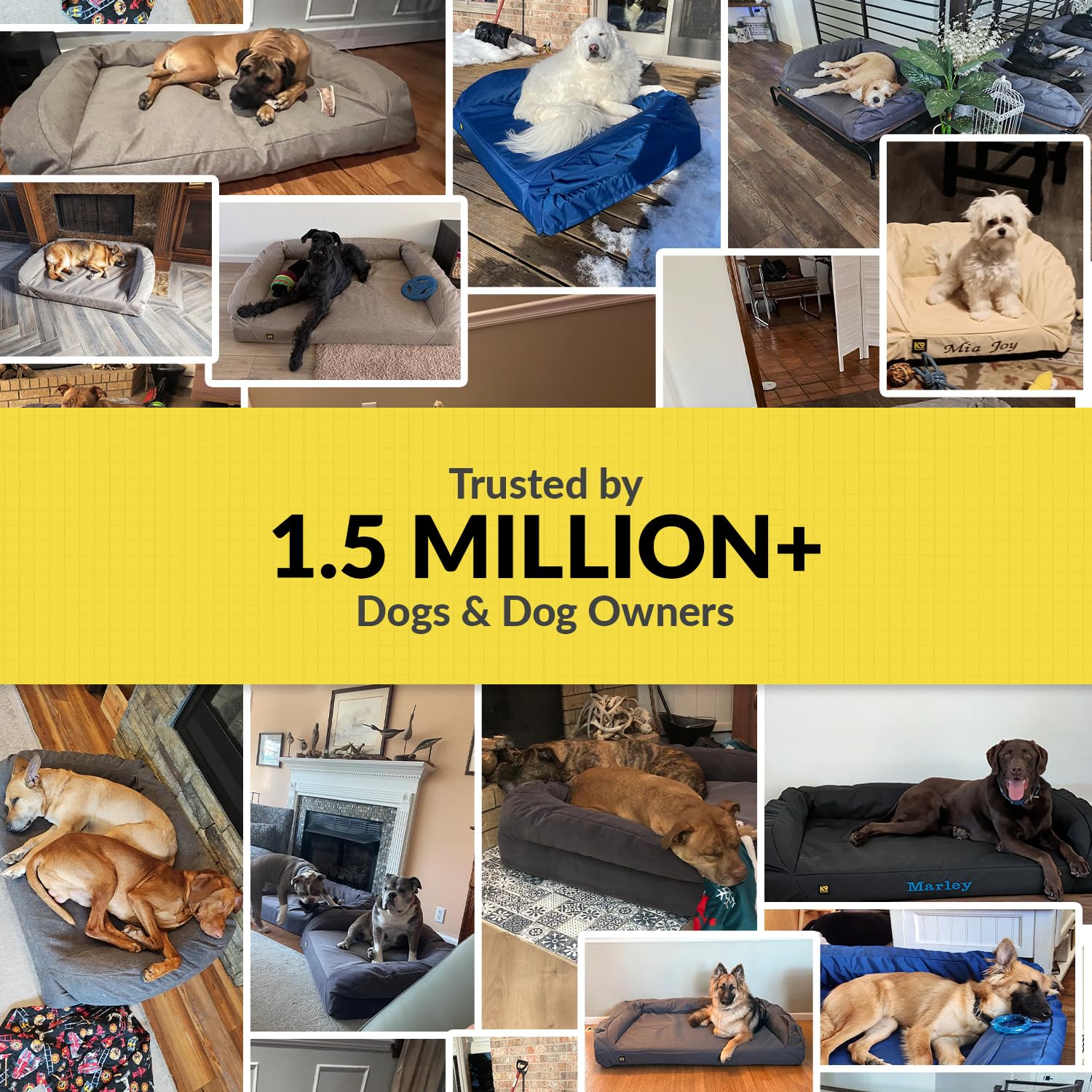 Durable Bolster Dog Bed