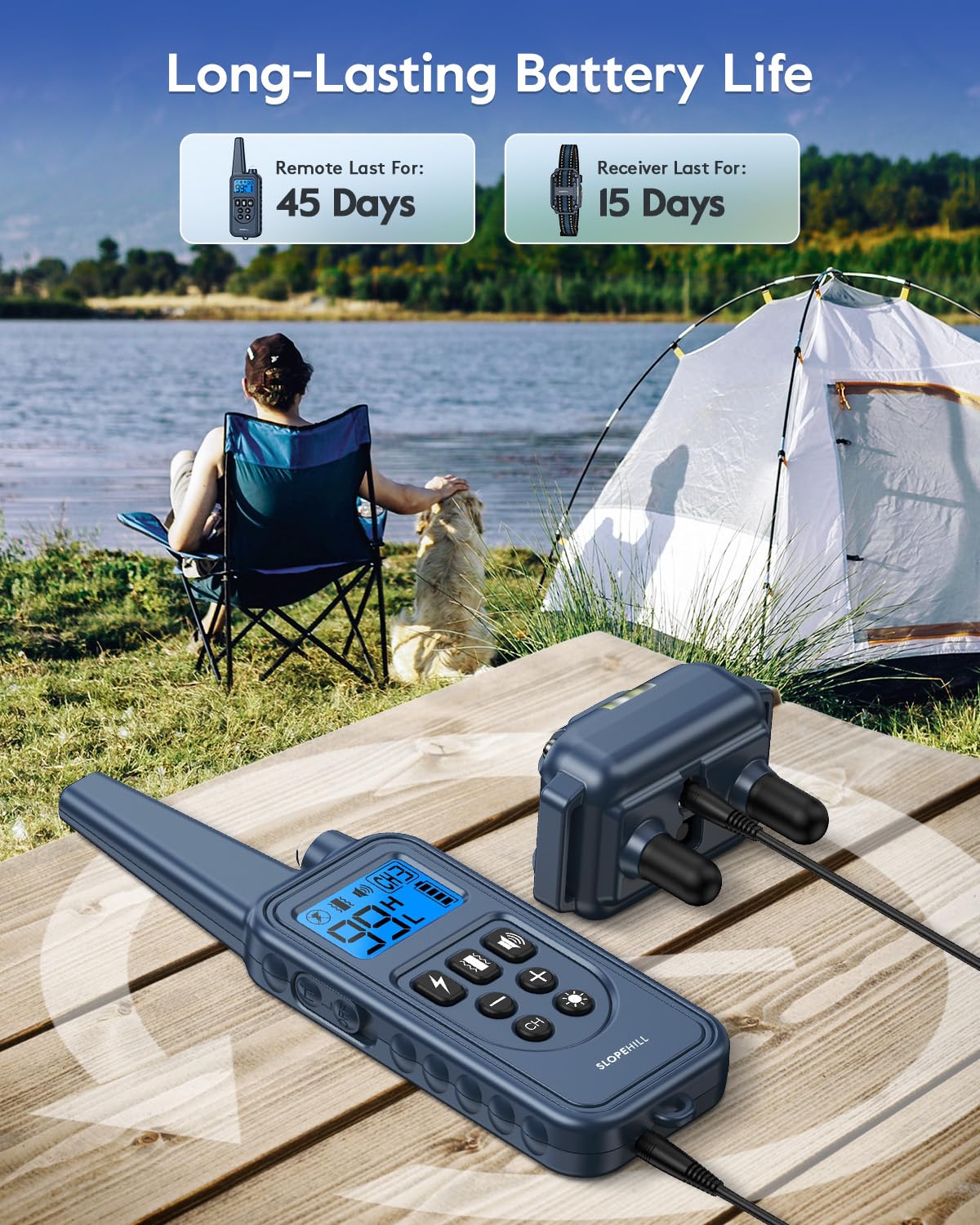 Remote Dog Training Collar