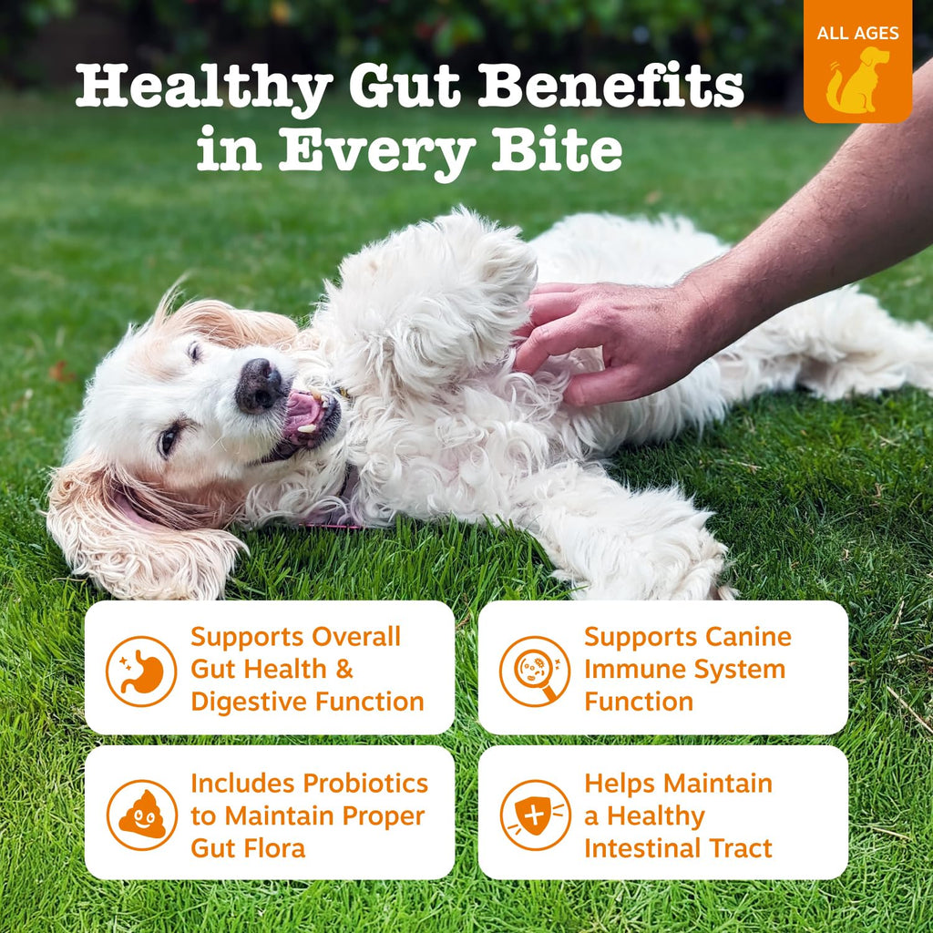 Probiotic Soft Chews for Dogs